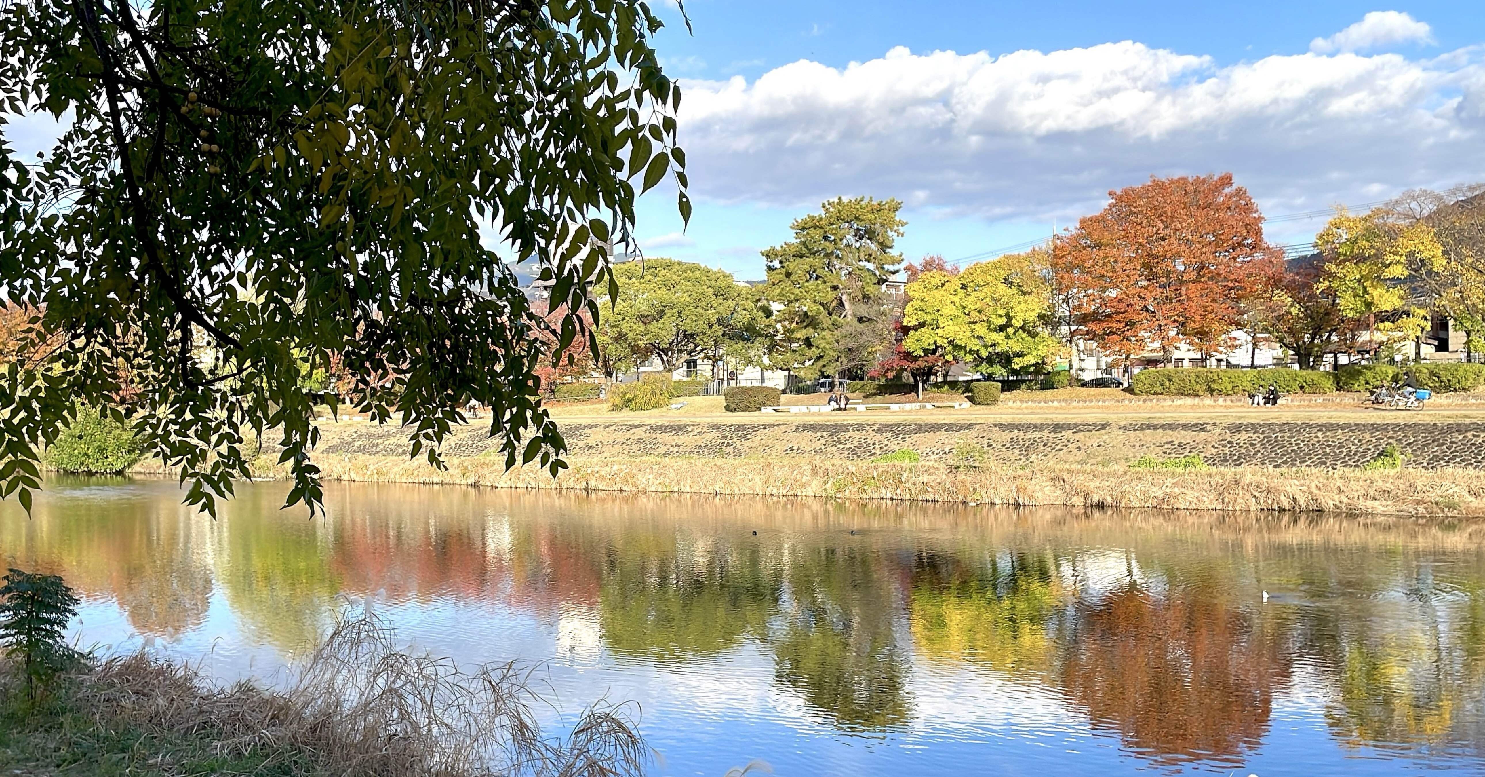 川のほとりで｜ちる