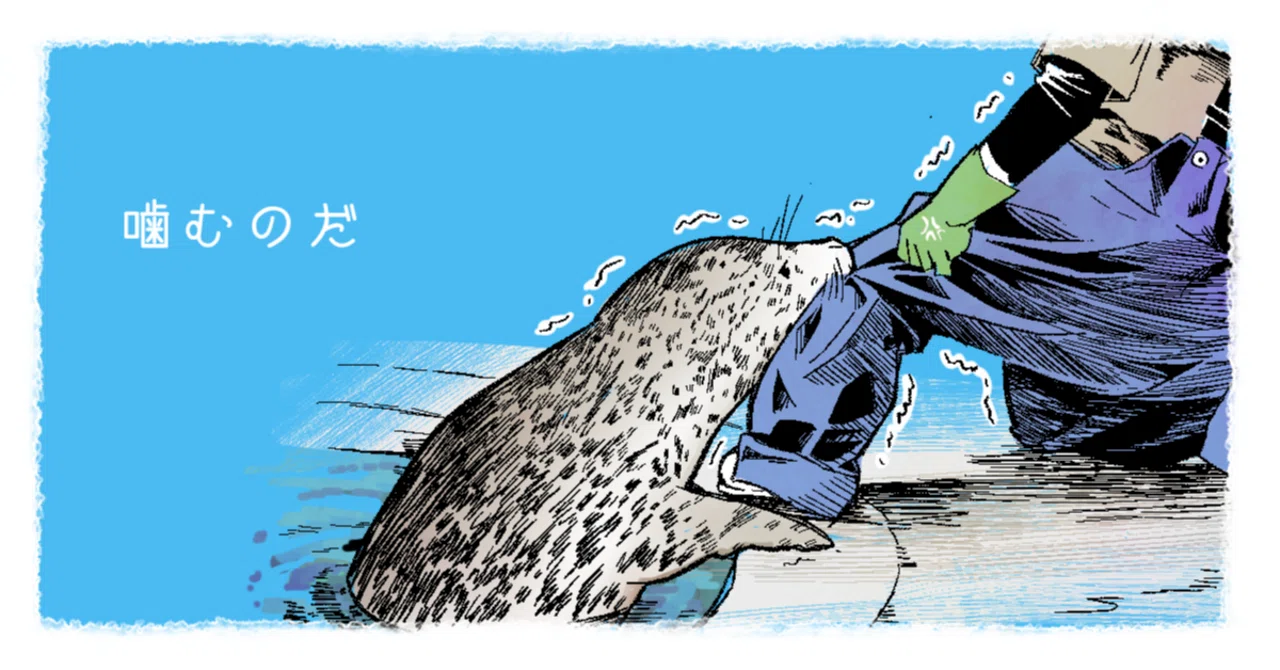 日本のアザラシ探訪記⑮男鹿水族館GAO（秋田）｜ヒロサキ