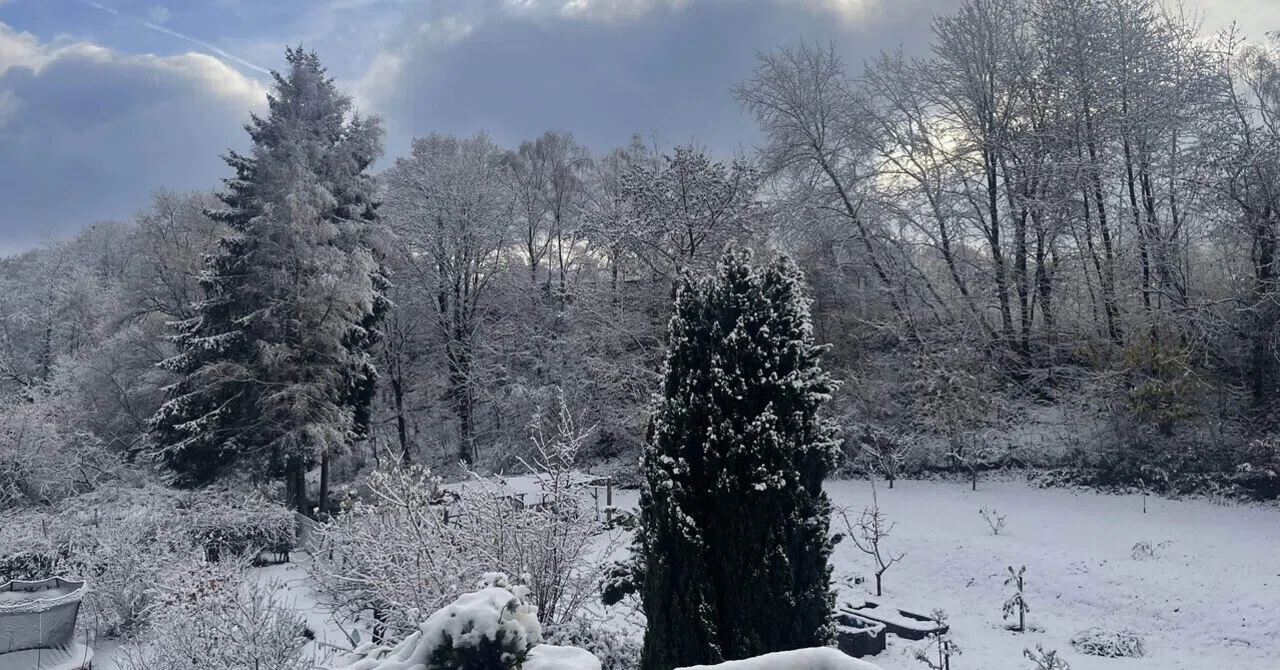 ドイツの雪景色が日常になった日｜蜜柑香房子（Mikan Kabosu）