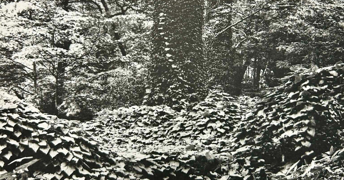 モノクロ写真の世界観⑨~