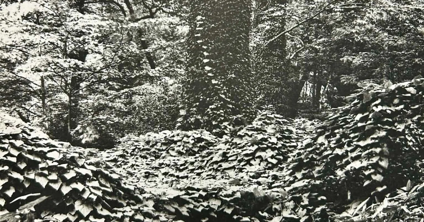 モノクロ写真の世界観⑨~
