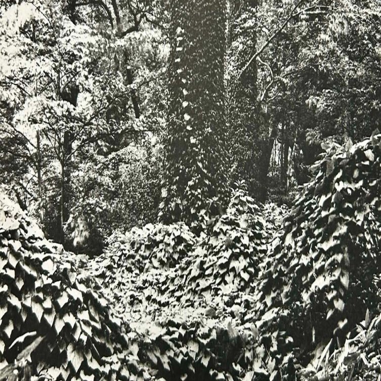 モノクロ写真の世界観⑨~