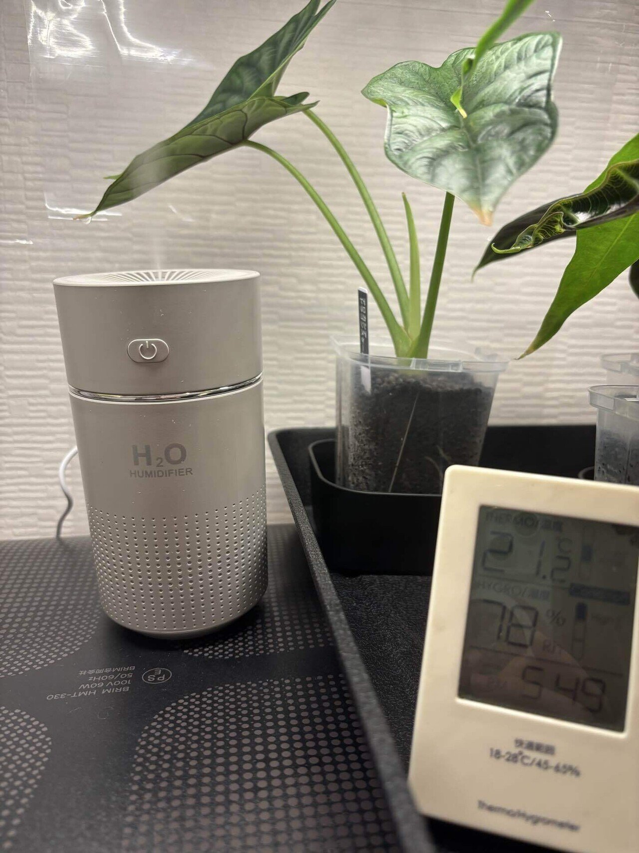 amazonブラックフライデーおすすめ【家電＆電化製品編】｜korin miku