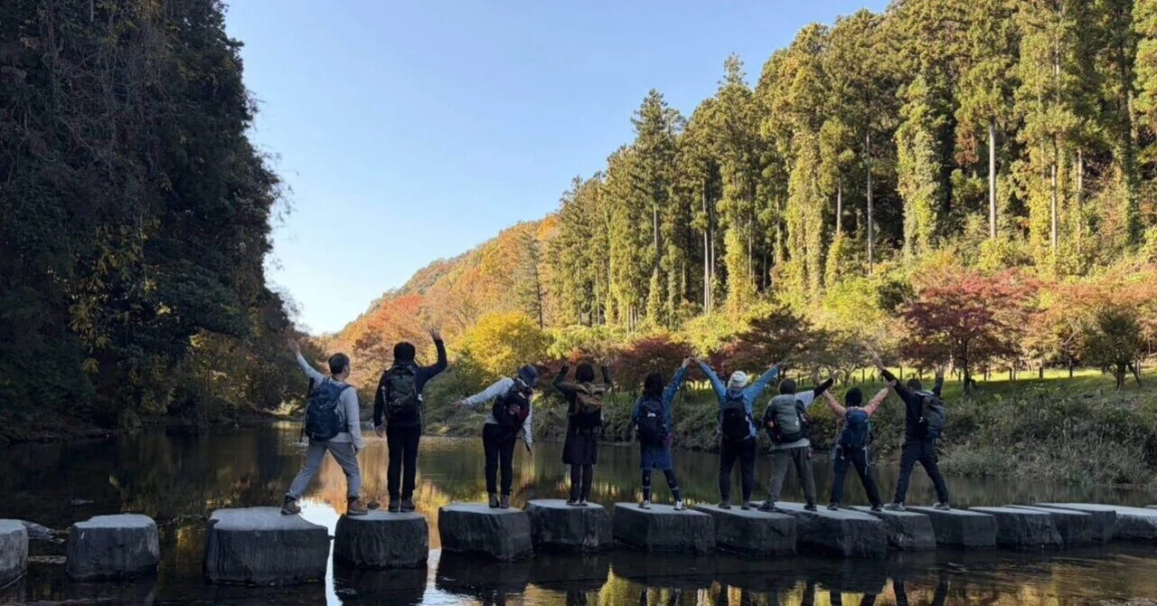 Long COVID Diary 25: The Day I Could Climb a Mountain｜pino
