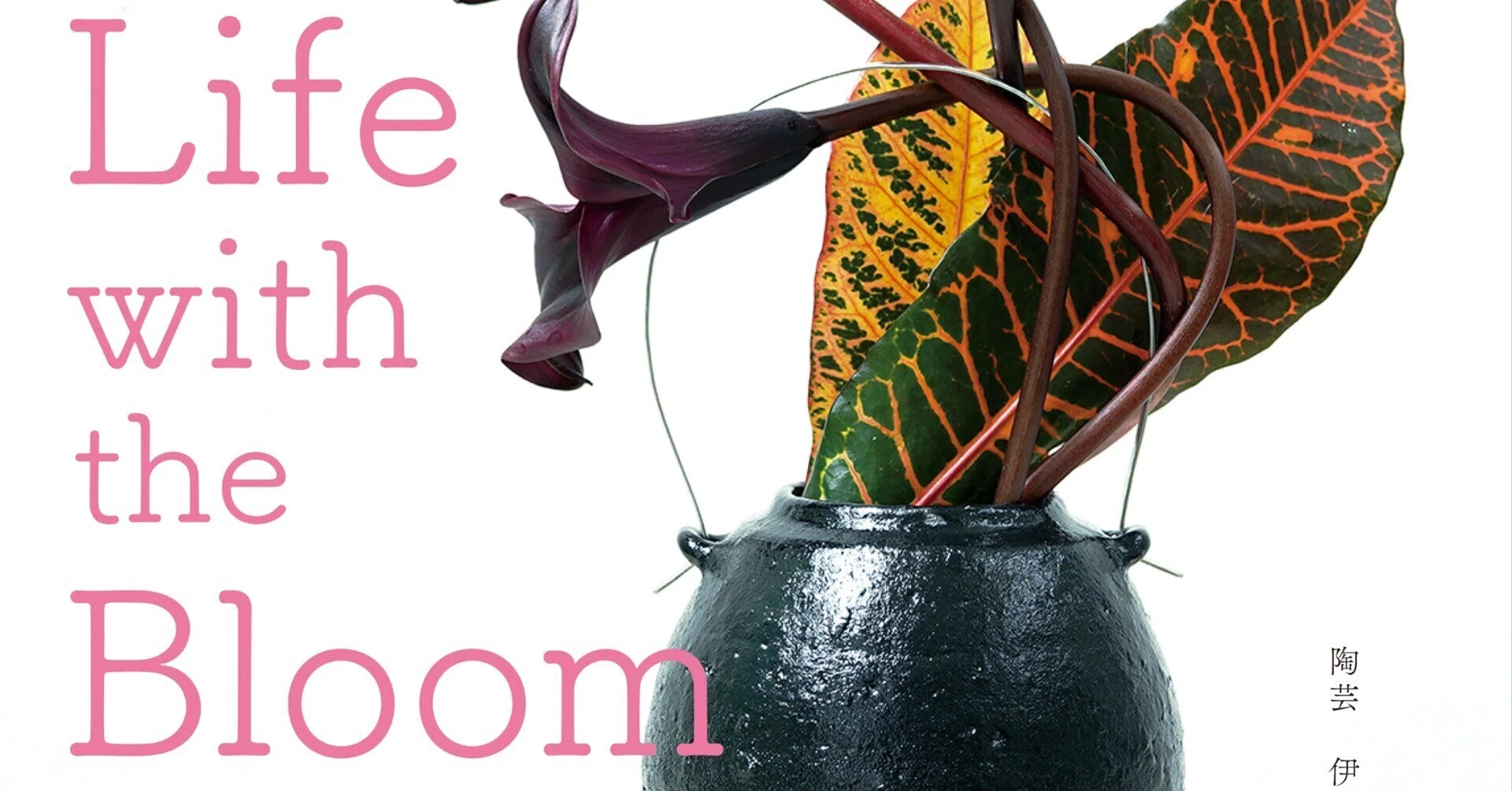 伊藤千穂個展『Life with the Bloom』 / 作家インタビュー｜白白庵