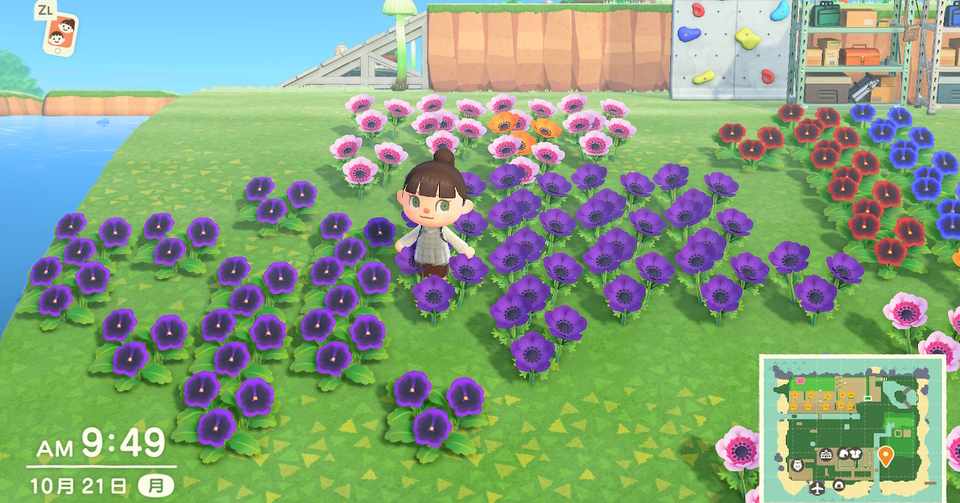 レアなお花に囲まれたい あつ森 とがき ふじわら Note