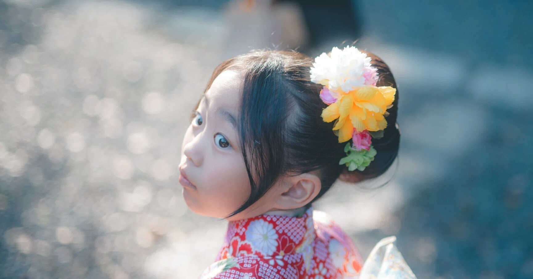 七五三7才SR-25 26 M o eみみちゃん 姉妹で七五三 | 過去のブログ | イマピクト
