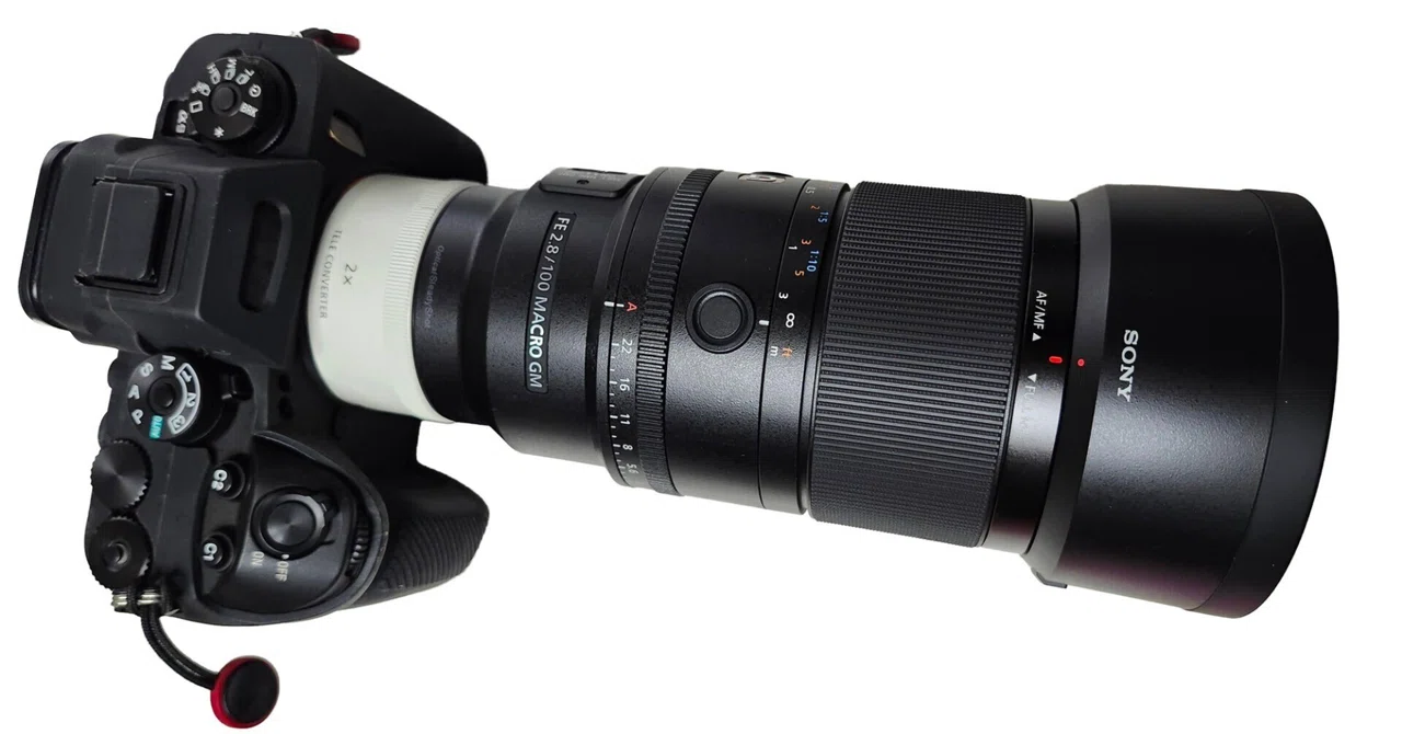 FE 100mm F2.8 Macro GM OSS｜KJ Kick Japan Ranking Virtual