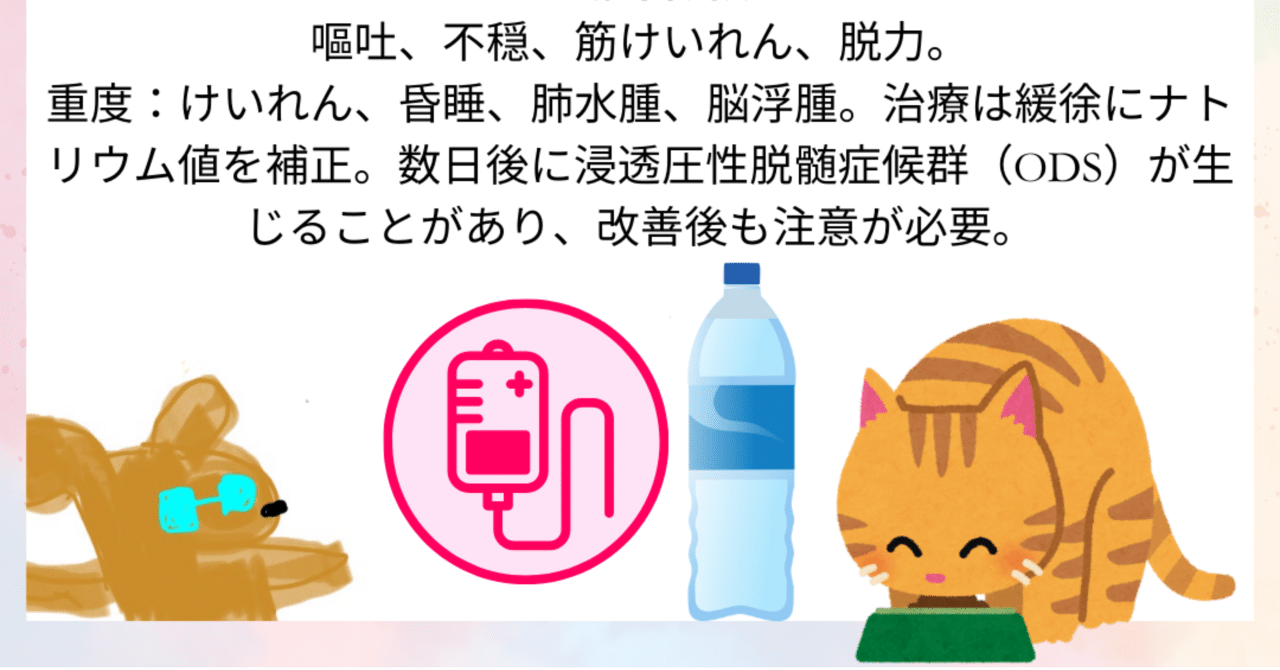 犬と猫の水中毒について】｜獣医師ふー：獣医中毒情報ポータル（JVPIP）
