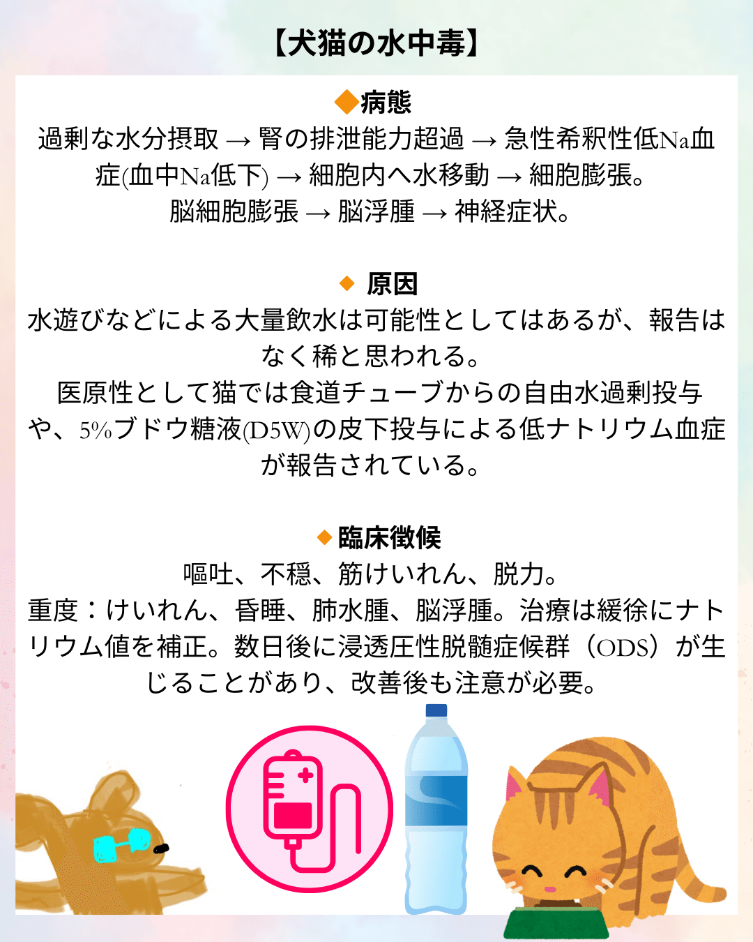 犬と猫の水中毒について】｜獣医師ふー：獣医中毒情報ポータル（JVPIP）