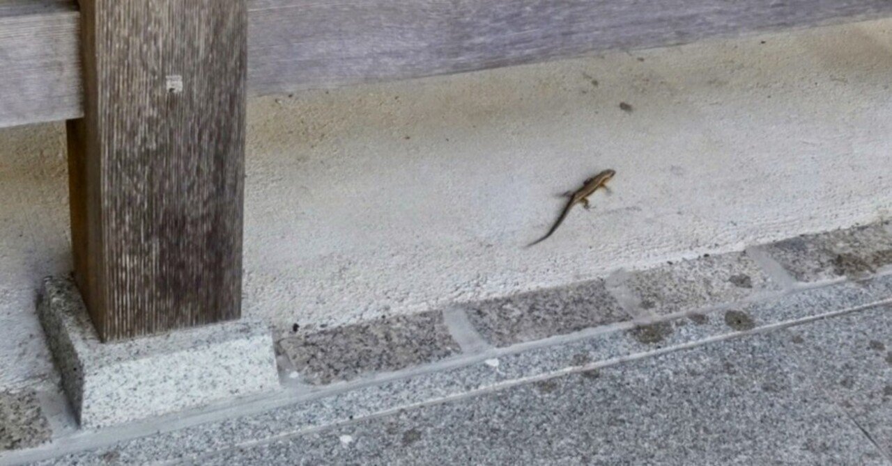 ふでばことかげ⑨｜野原小麦