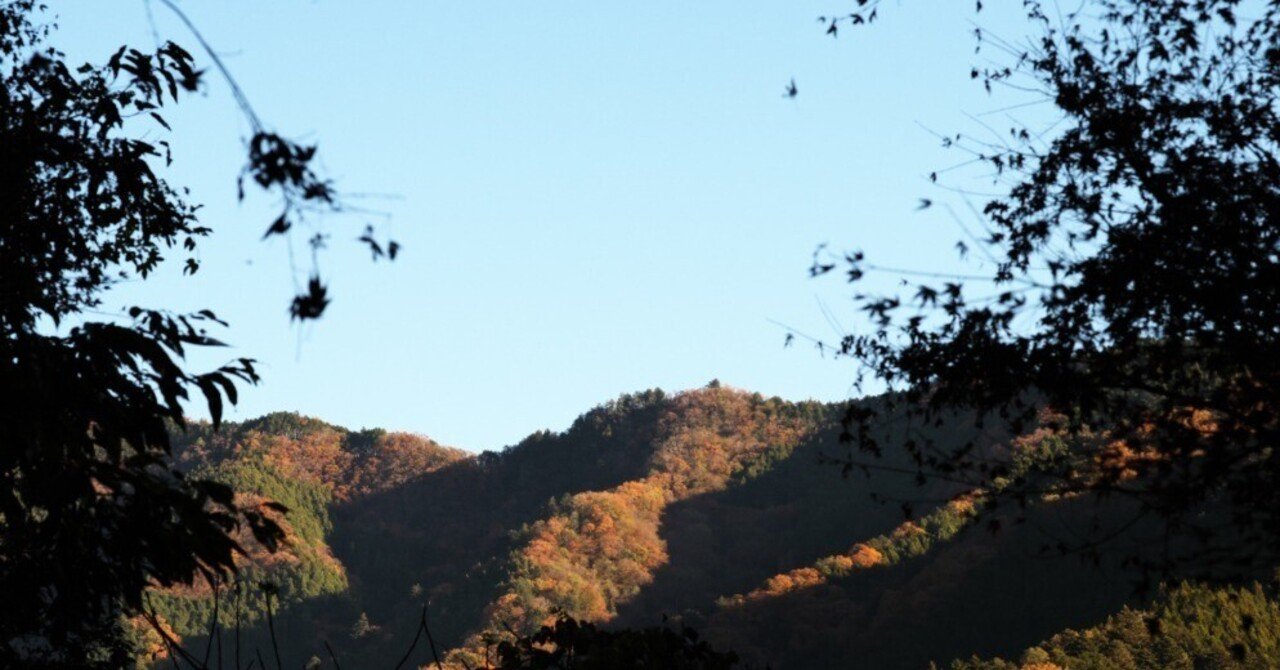 紅葉｜くまかめら