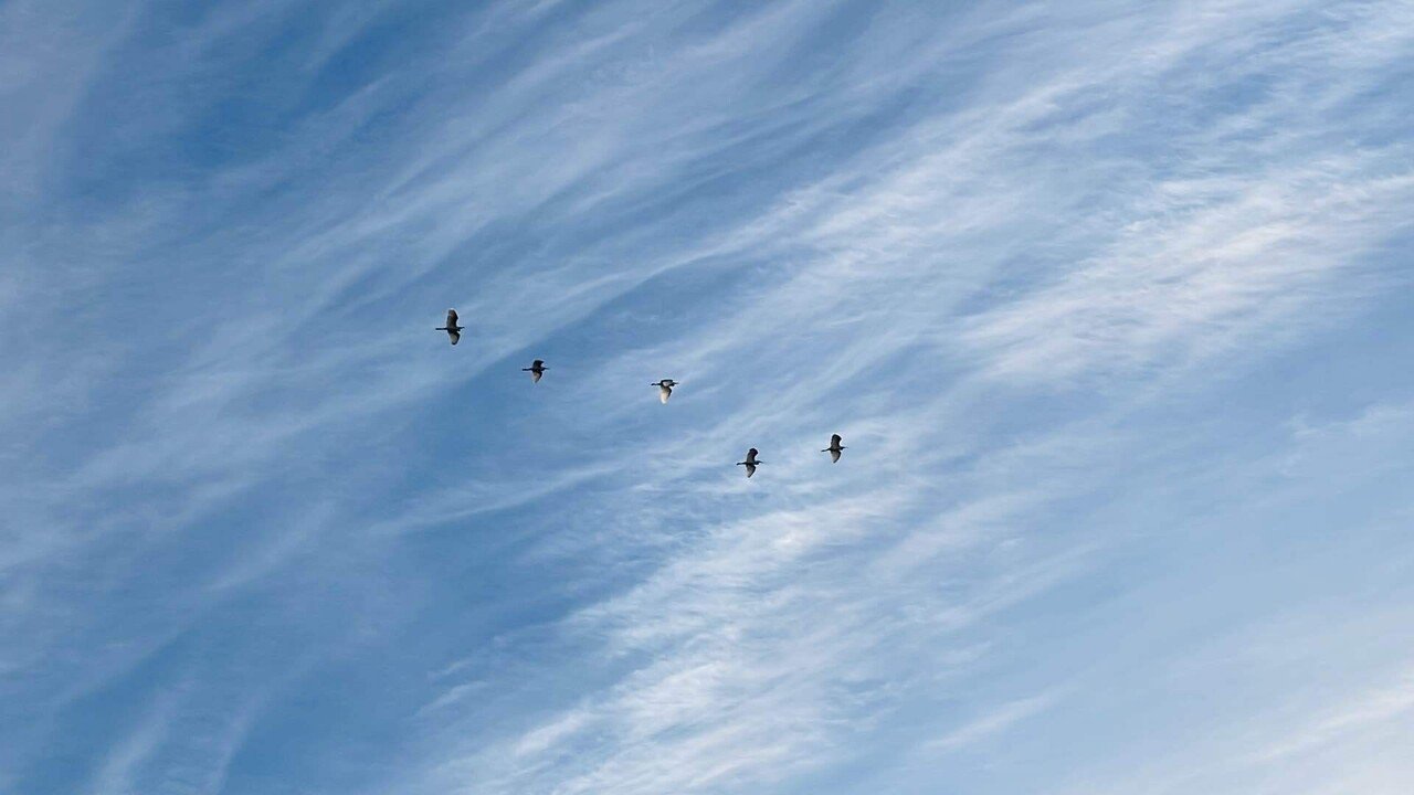 川のほとりで｜ちる