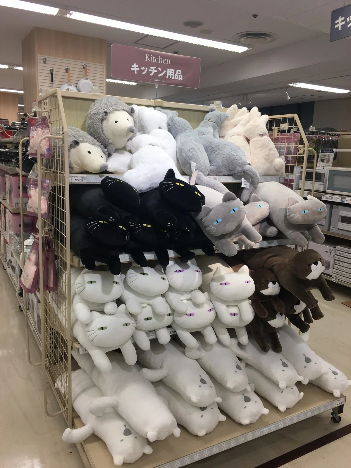 家から出られないしずっとニトリデコホームの猫愛でてる｜ナメ川ユーコ