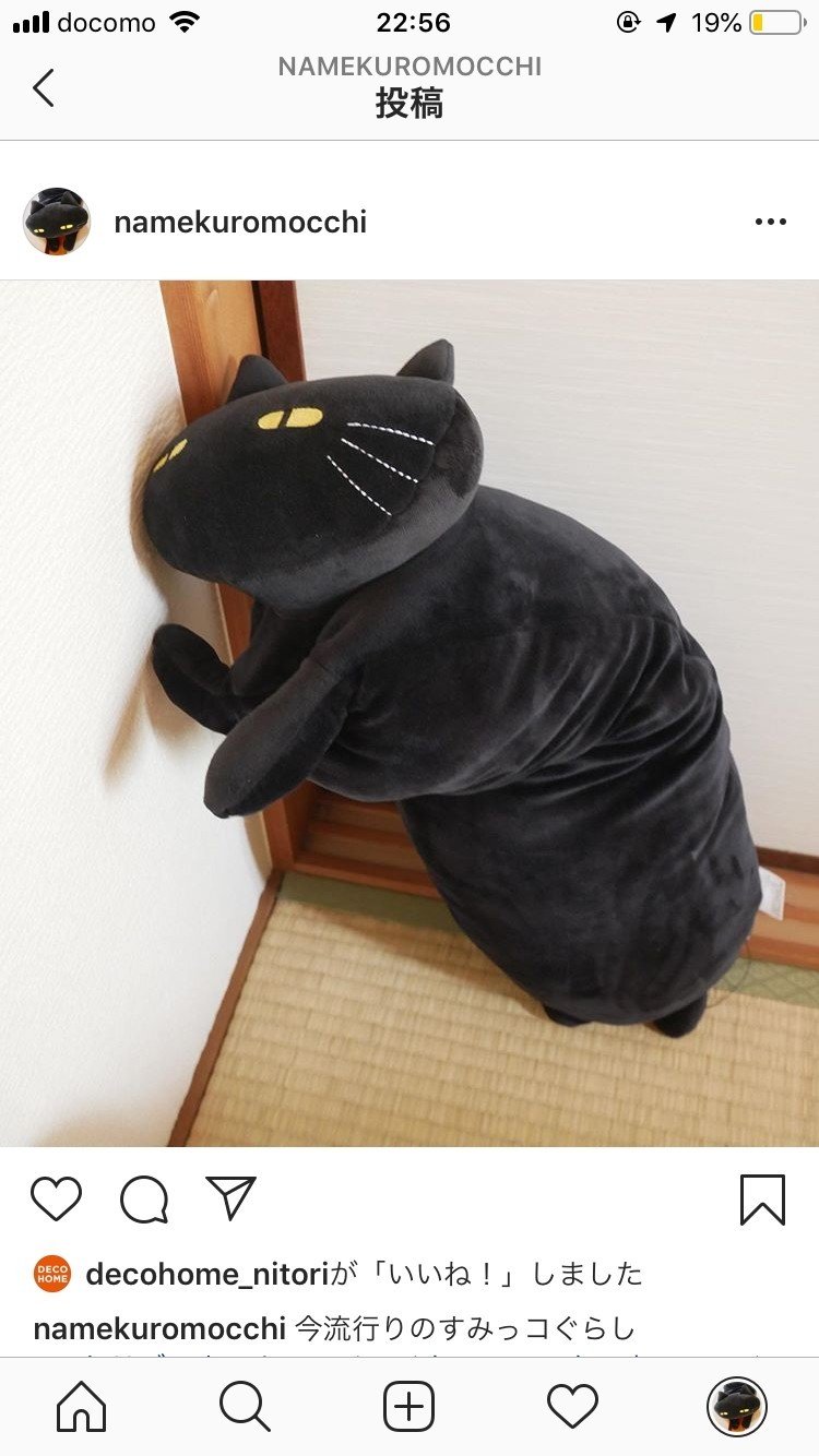 家から出られないしずっとニトリデコホームの猫愛でてる なめろう Note 家から出られないしずっとニトリデコホームの猫愛でてる なめろう Note