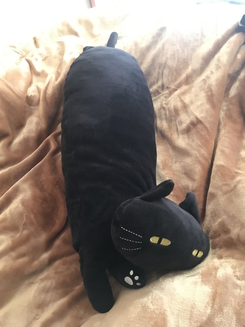 家から出られないしずっとニトリデコホームの猫愛でてる なめろう Note
