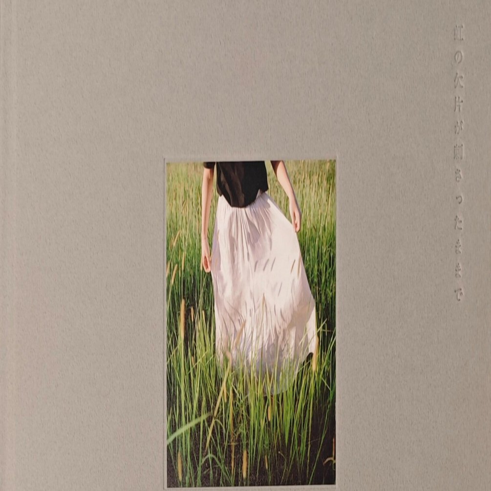 写真集紹介 Part9｜AF_PhotoBook