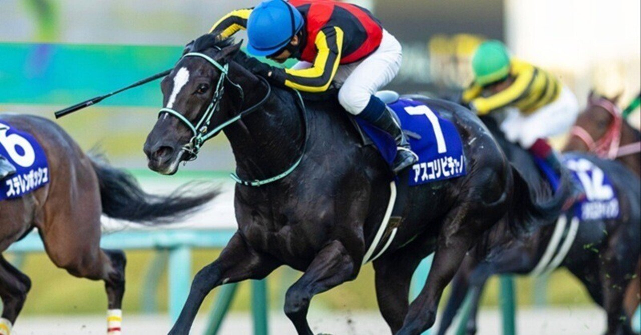 2025マイルチャンピオンシップ｜ぺい@競馬&競艇