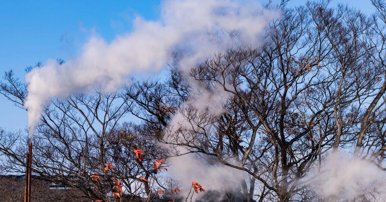 読書】 安部公房 「飢餓同盟」 〜巨大な壁との対峙〜｜ぷろとんハンター