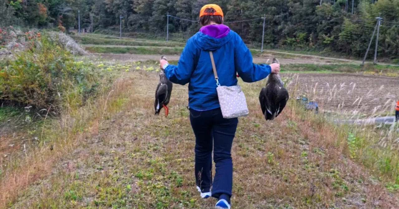 2025 Hunting Season Open! Going Duck Hunting. Does Duck Taste Like Mud?｜雲
