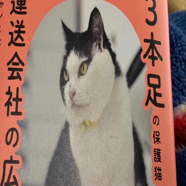 三本足の保護猫ふくは運送会社の広報部長」石黒謙吾さん（読書感想文
