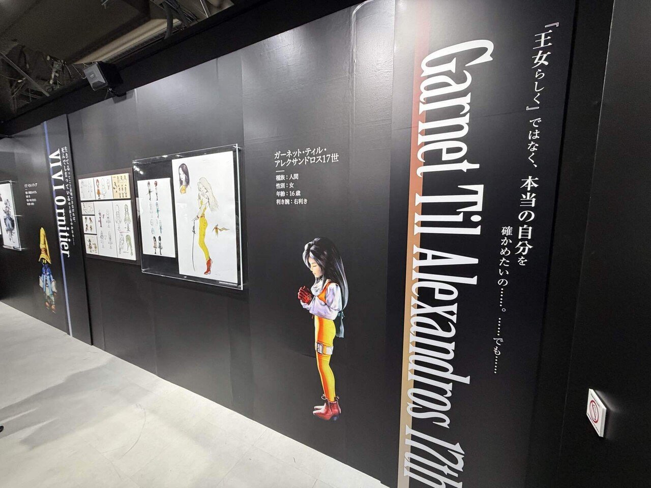 ファイナルファンタジーIX FF9 展 サイン入り 絵本 ファイナルファンタジーIX FF9 展 サイン入り 絵本 公式】FFIX 25th