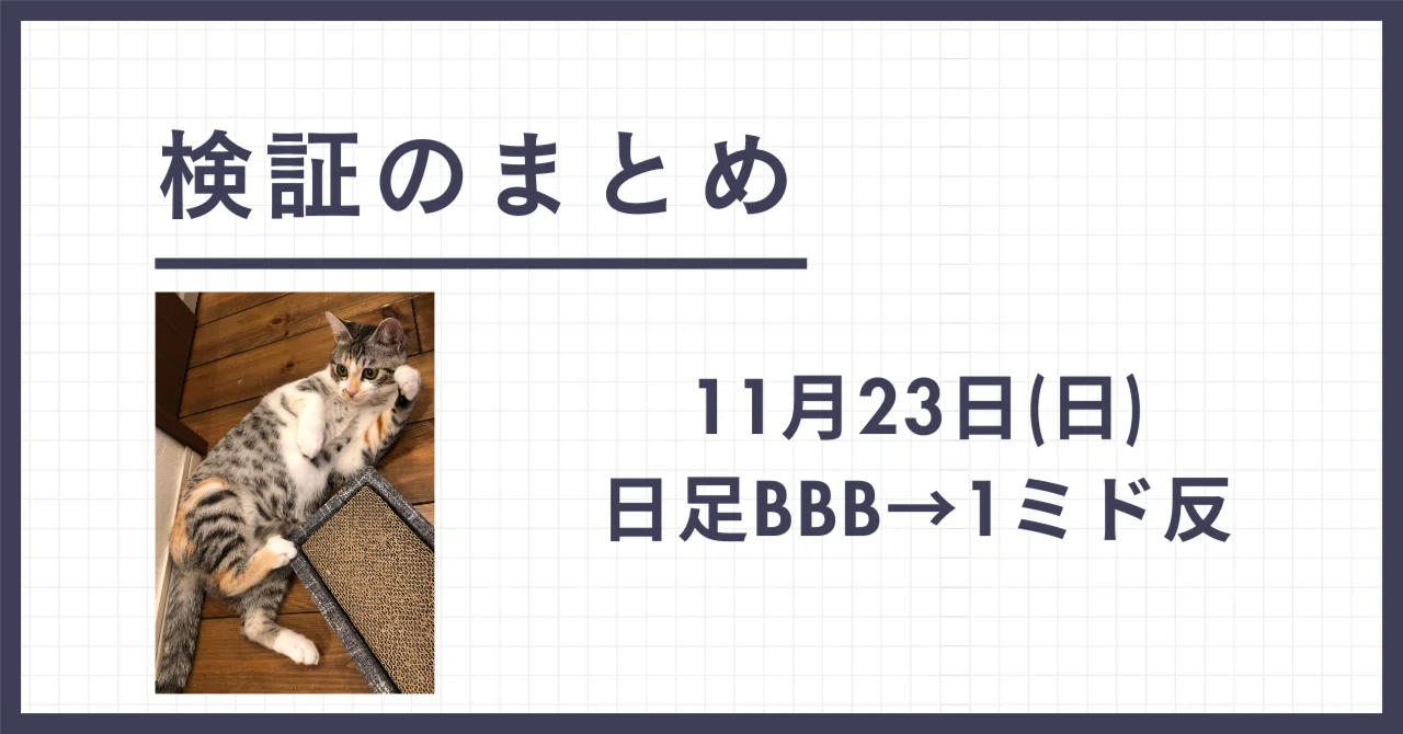 Summary of November 23rd Verification｜さらな