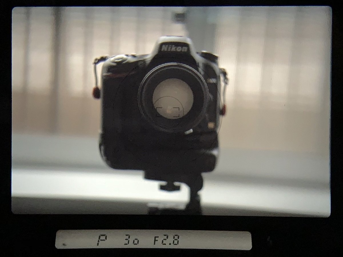 私のおすすめフィルムカメラ 「Nikon ニコン F801s」 コスパ最強