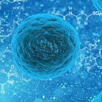 論文紹介 ４ ５ Cas13aを使った核酸検出技術sherlock Detectr関連技術 Vol 1 なおピン Note
