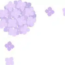 雨花＿降り続く雨もいつか止む