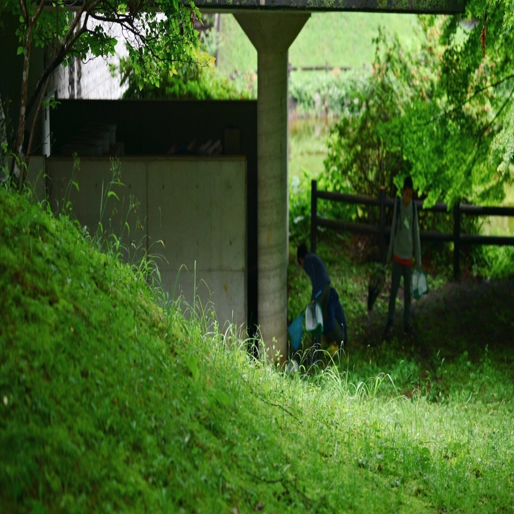 買ってよかったもの2025】Nikon Z5II──写真が“もう一段”楽しくなった