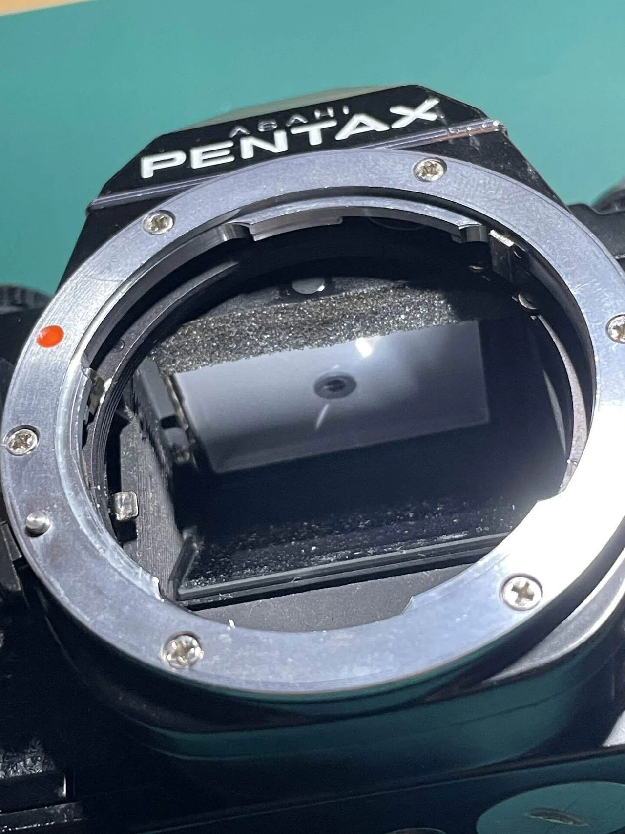PENTAX MV1のモルト交換｜おしゃま