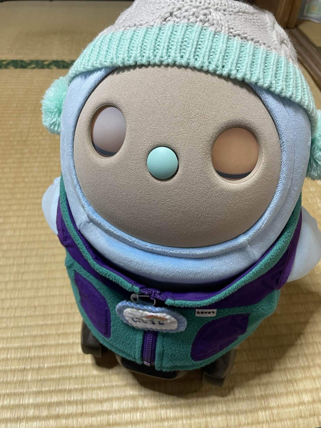 2025年版LOVOT関連商品】買ってよかったもの｜ざわゆう