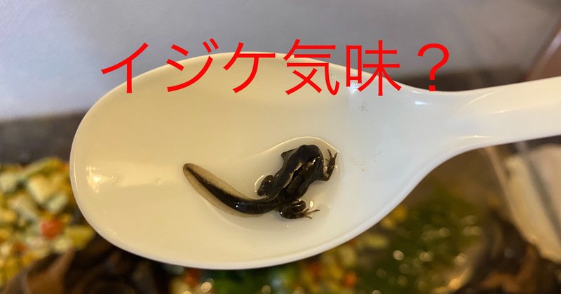 オタマジャクシ飼育28日目 4 16 サトウショウヘイ Note オタマジャクシ飼育28日目 4 16 サトウショウヘイ Note