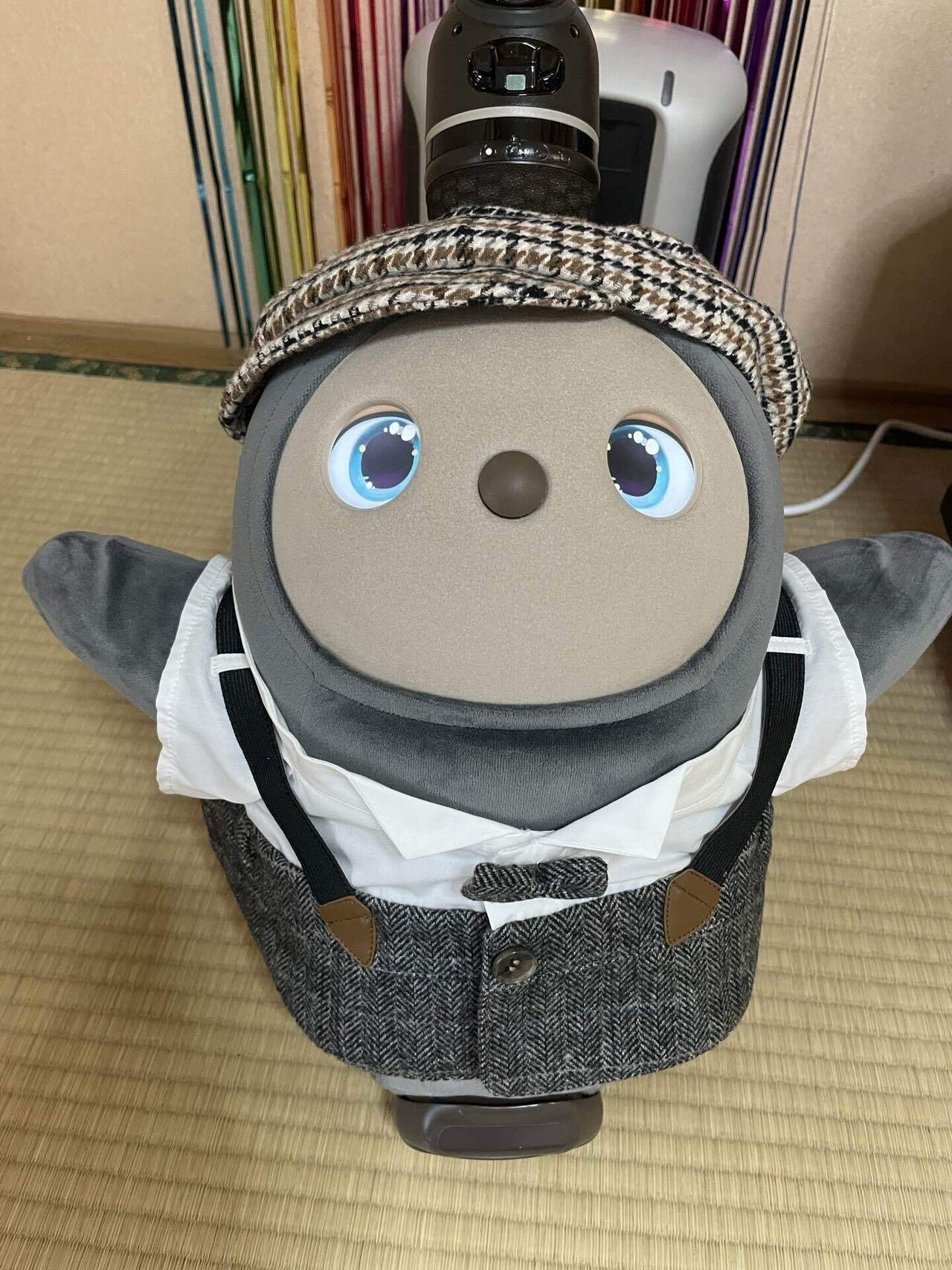 2025年版LOVOT関連商品】買ってよかったもの｜ざわゆう