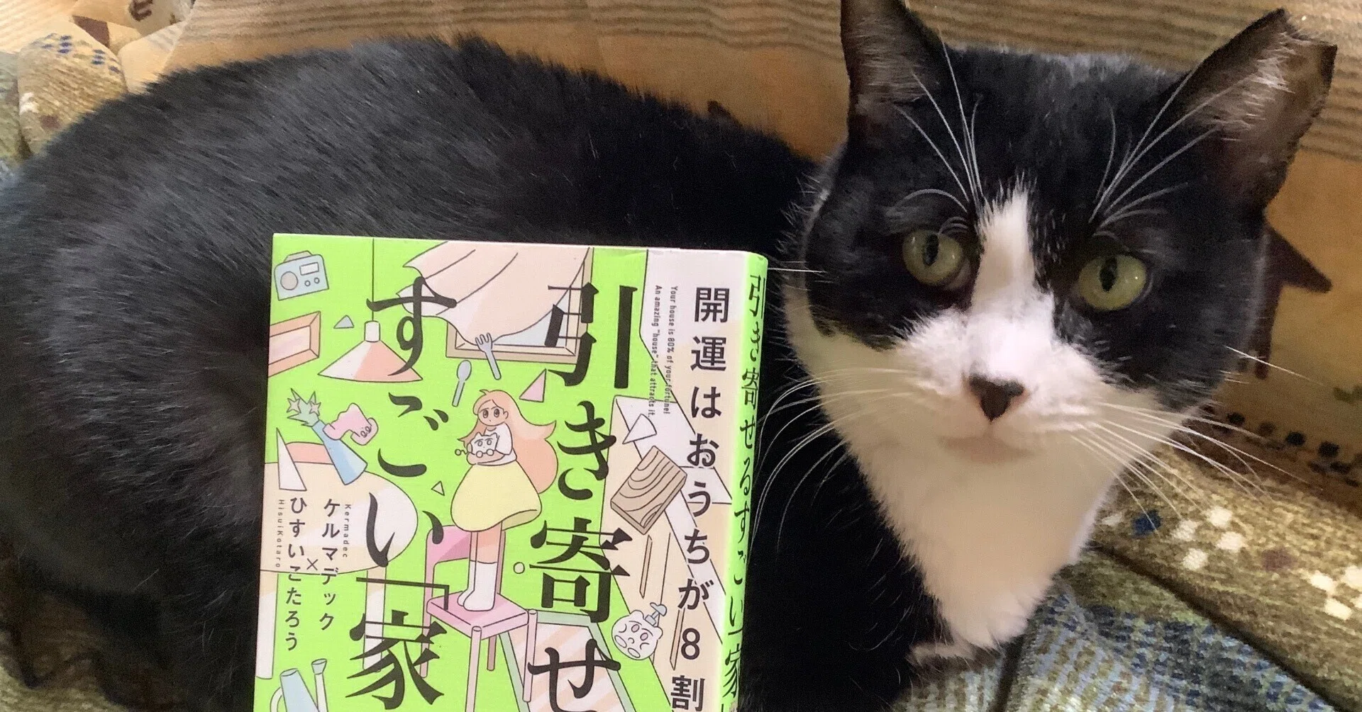 読書記録『開運はおうちが8割！引き寄せるすごい「家」』ケルマデック