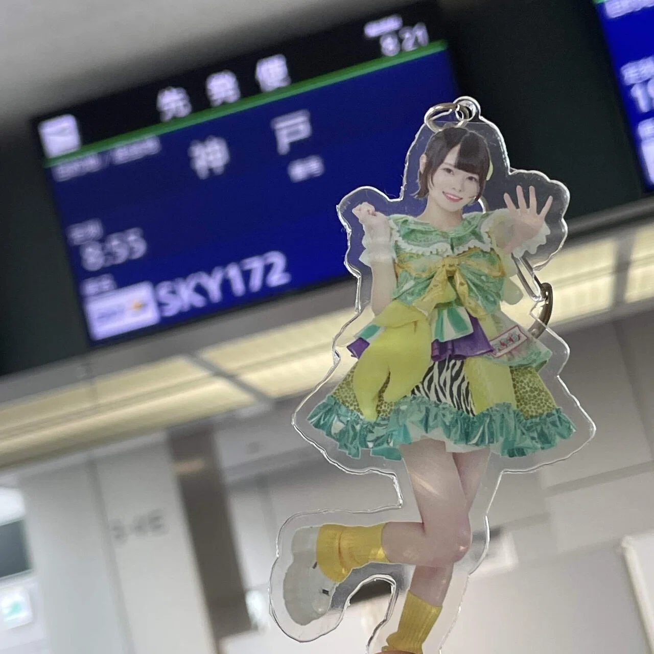 4か月ぶりの瀬戸内れもんちゃん｜としる | (たや)