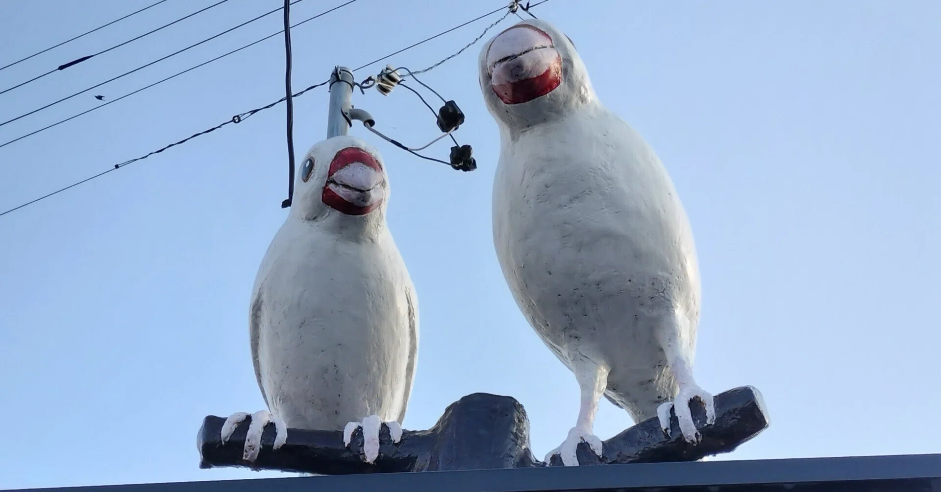 愛知県弥富市で文鳥の聖地17か所を巡りました！｜pinson_note