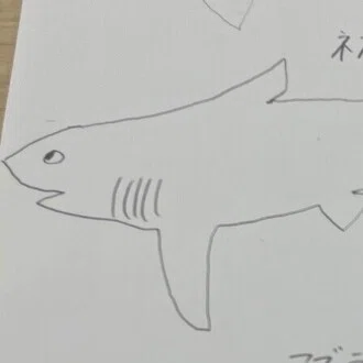 シロワニ