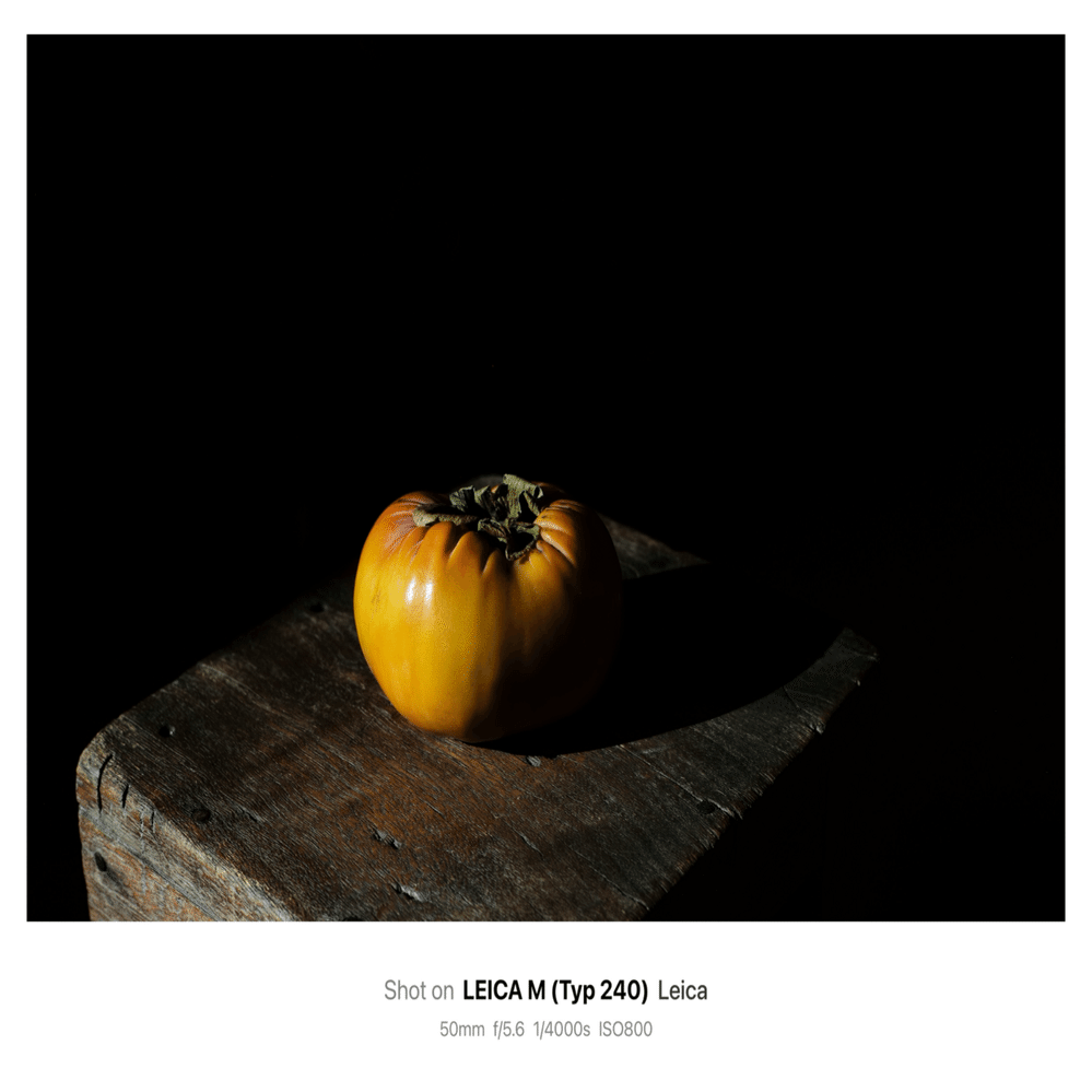 5枚を載せる 11/23 柿と偶然性｜kojixx55