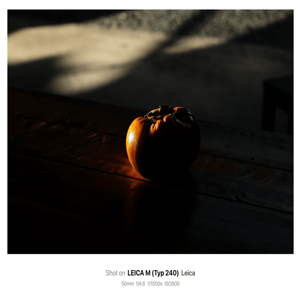 5枚を載せる 11/23 柿と偶然性｜kojixx55