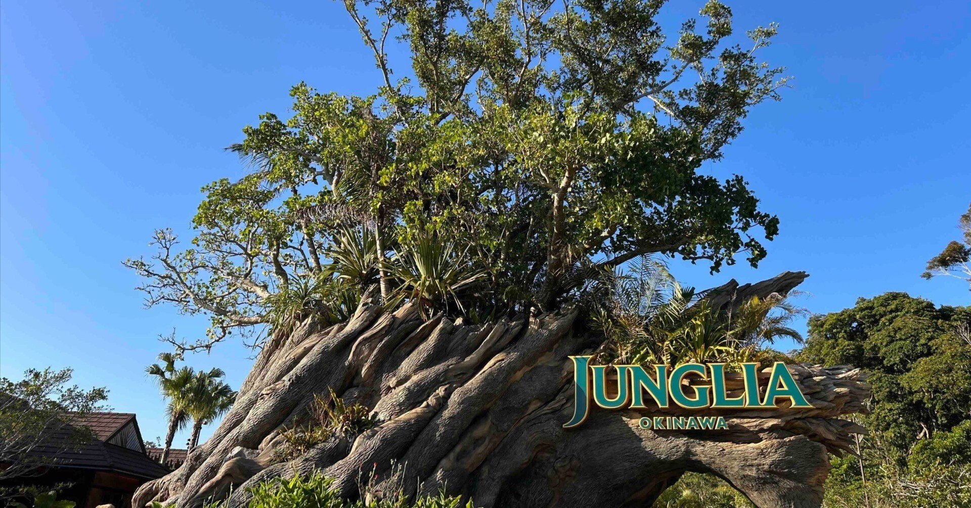 美ら海水族館（沖縄海洋博記念公園）とジャングリア沖縄の開業で変わり