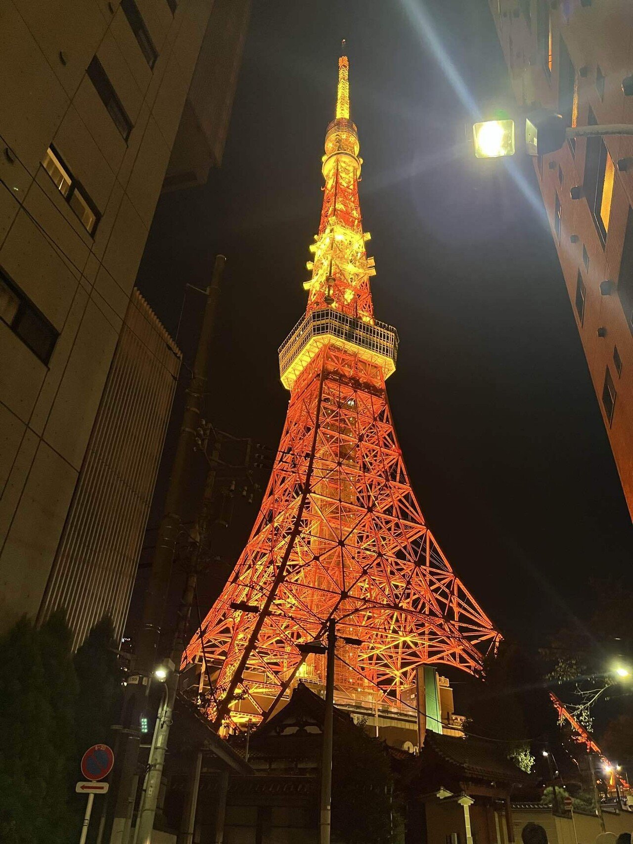 東京タワー、どんな時に見に行きたくなりますか？｜だい