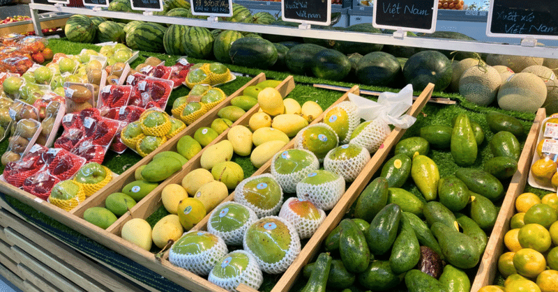 【予備試験】令和7年予備試験・法律基本科目の答案構成例