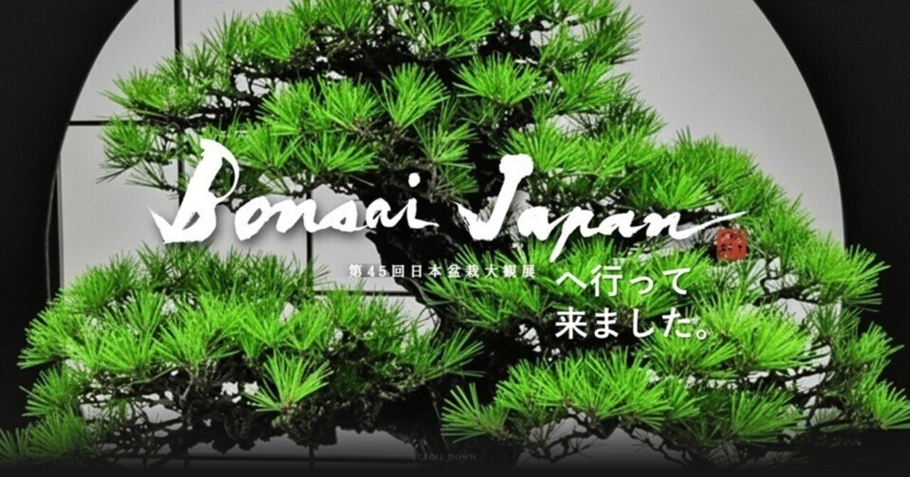 第45回 日本盆栽大観展 へ行って来ました。｜GEnKU