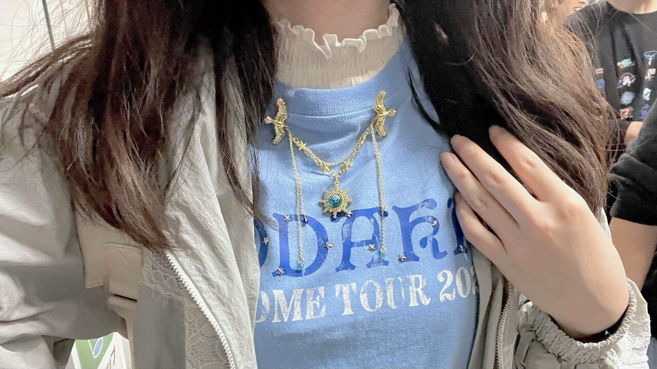 居場所を求めて一Adoライブ「よだか」と小説「よだかの星」の感想｜ほたる