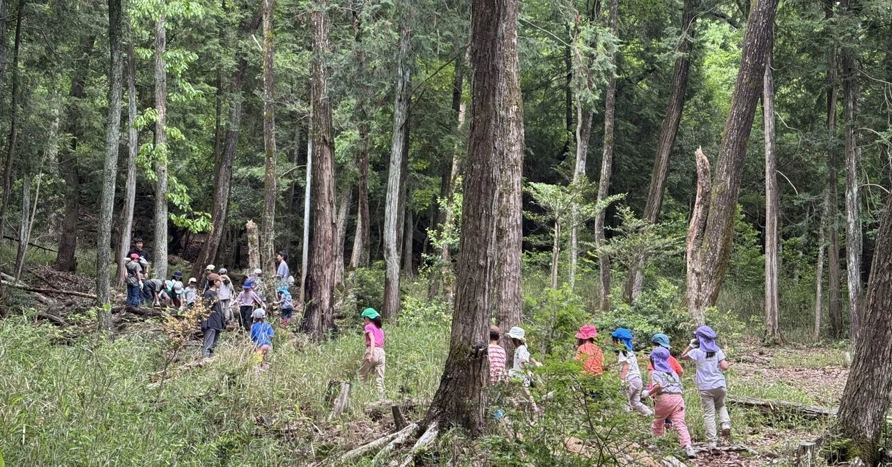 Wabi and Forest Kindergartens: How 'Insufficiency' Opens Up Children's ...