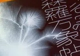 先達|雪 朱里 先達|雪 朱里