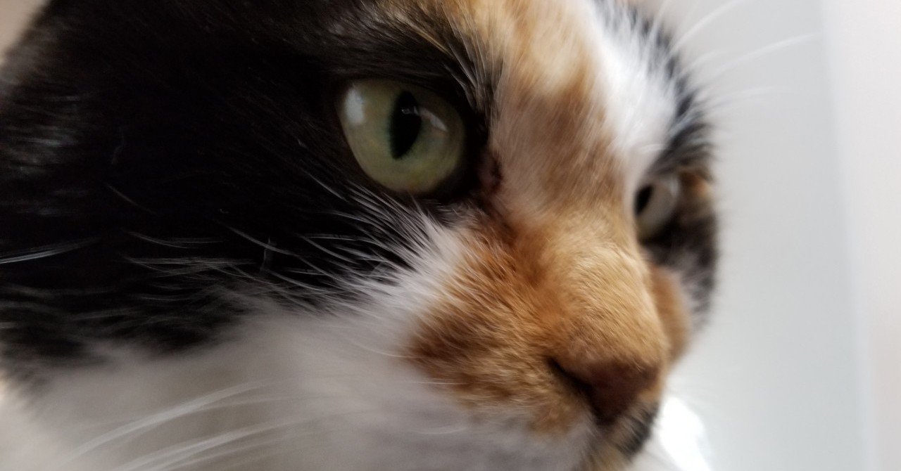 芸人と付き合う為にsnsでする2つのこと ロリィタ族 チェリーボンボン Note 芸人と付き合う為にsnsでする2つのこと ロリィタ族 チェリーボンボン Note