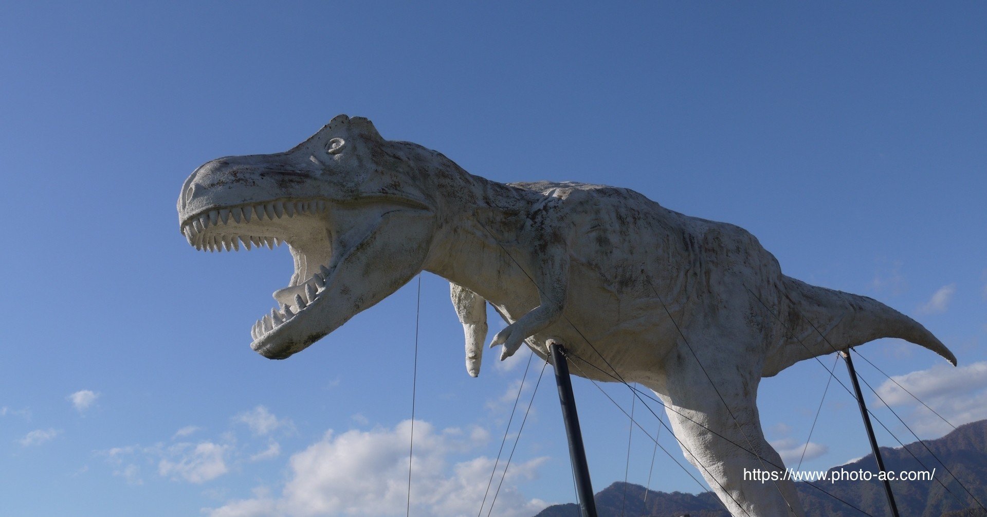 偶然の産物 復刊ドットコム Note